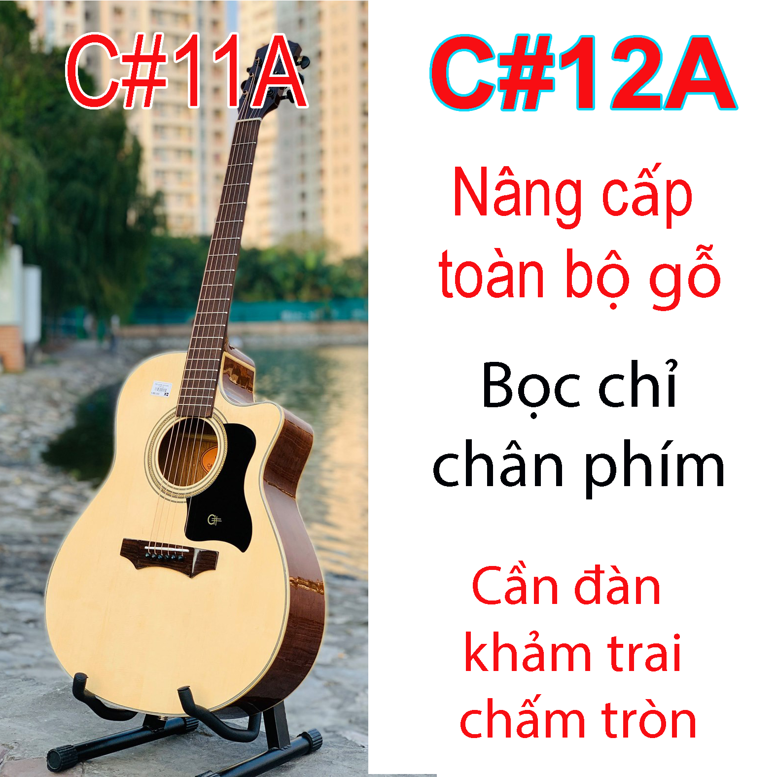 Đàn guitar Acoustic C#12A